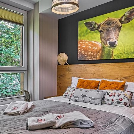 Apartament Resort Kozubnik Kiczora 04 - 5D Apartamenty Porąbka Zewnętrze zdjęcie