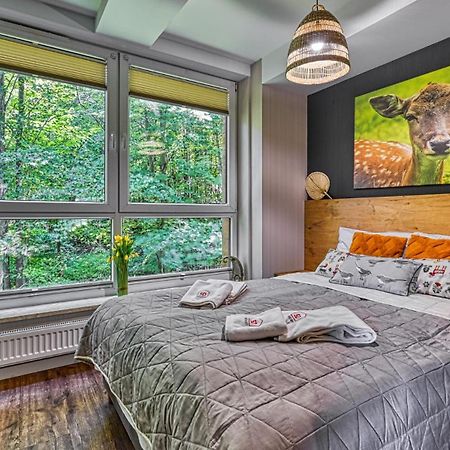 Apartament Resort Kozubnik Kiczora 04 - 5D Apartamenty Porąbka Zewnętrze zdjęcie
